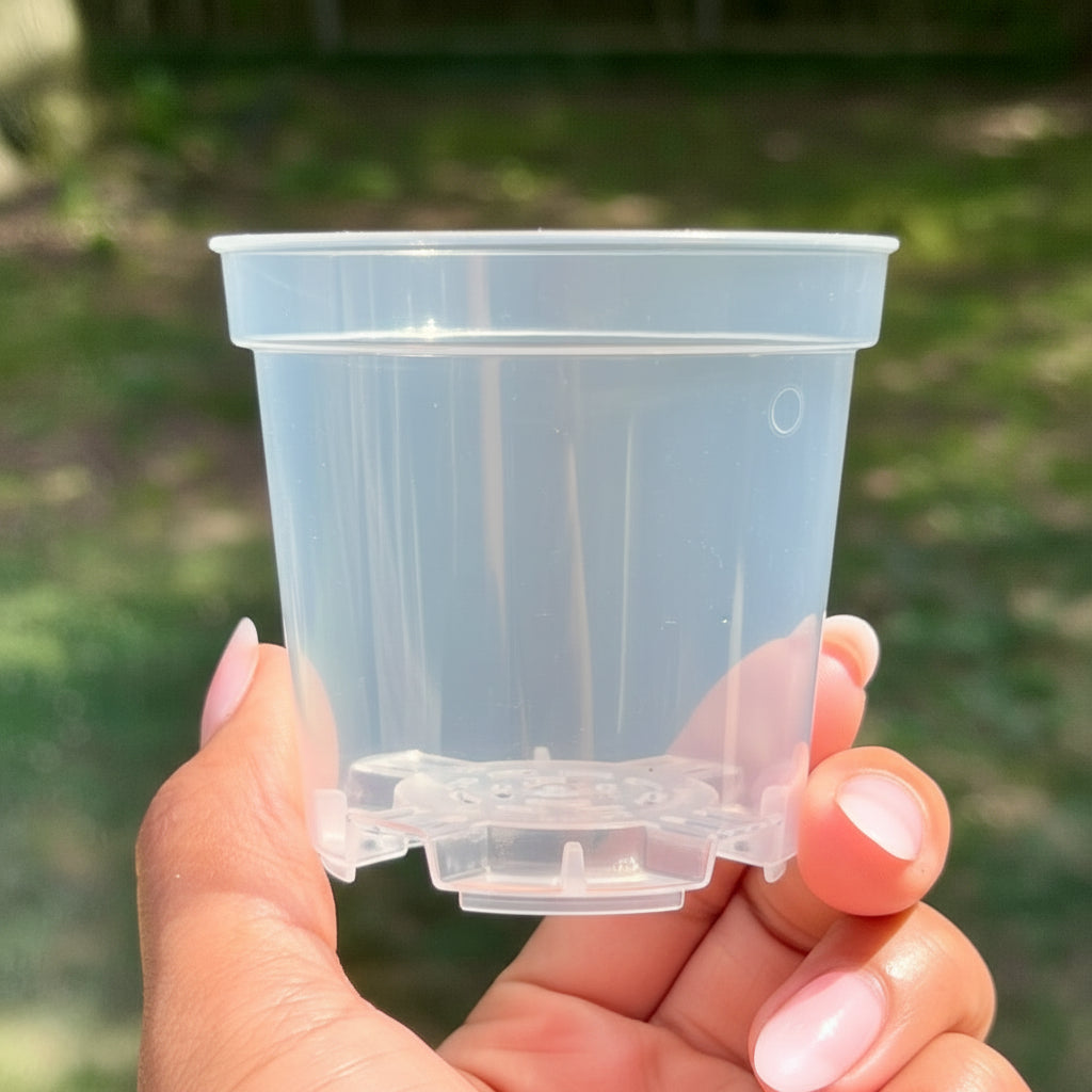 Premium Clear Nursery Pots Value Packs