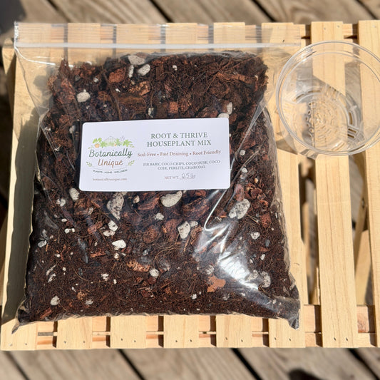 Root & Thrive Houseplant Mix