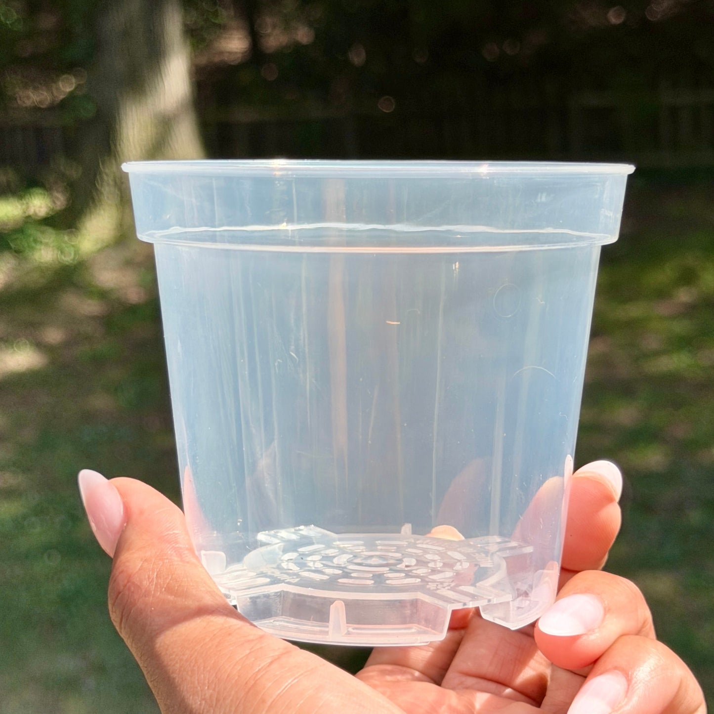 Premium Clear Nursery Pots Value Packs
